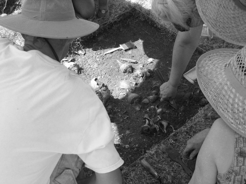 people dig in shallow excavation pit. Shells can be seen in the dirt.