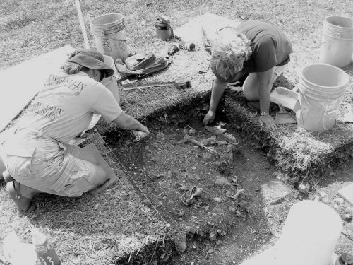 two people dig in shallow excavation pit. Shells can be seen in the dirt. 