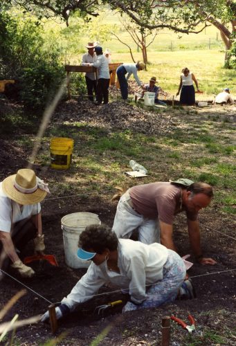 three people in a Archaeological pit, other pit and more people can be seen in the background