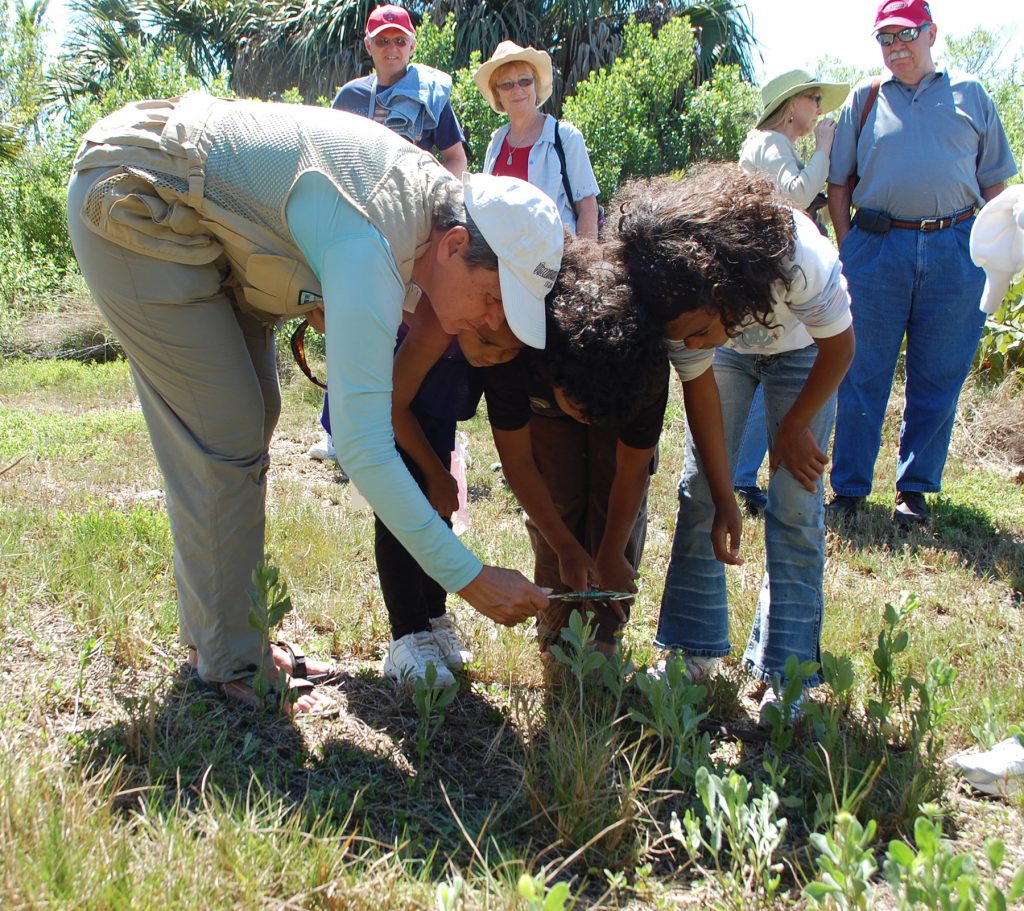 naturalist leans over a plant and hold a magnifying glass so two children next to her can examine the plant