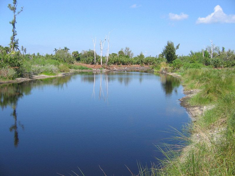Ibis Pond at Calusa Heritage Trail