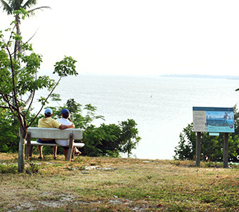 View from Randell Mound