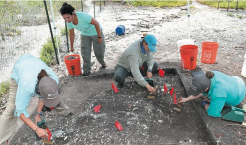 field school students brushing sand