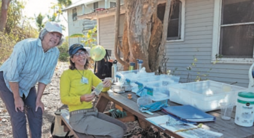 volunteers processing finds