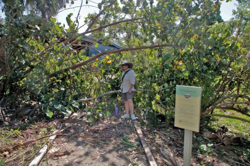 Cindy at ramp after Irma