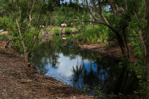 Calusa canal around Smith Mound