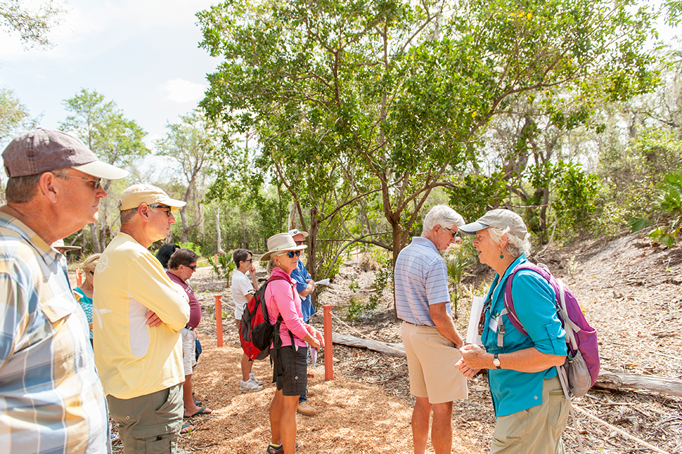 tour group on a sunny day