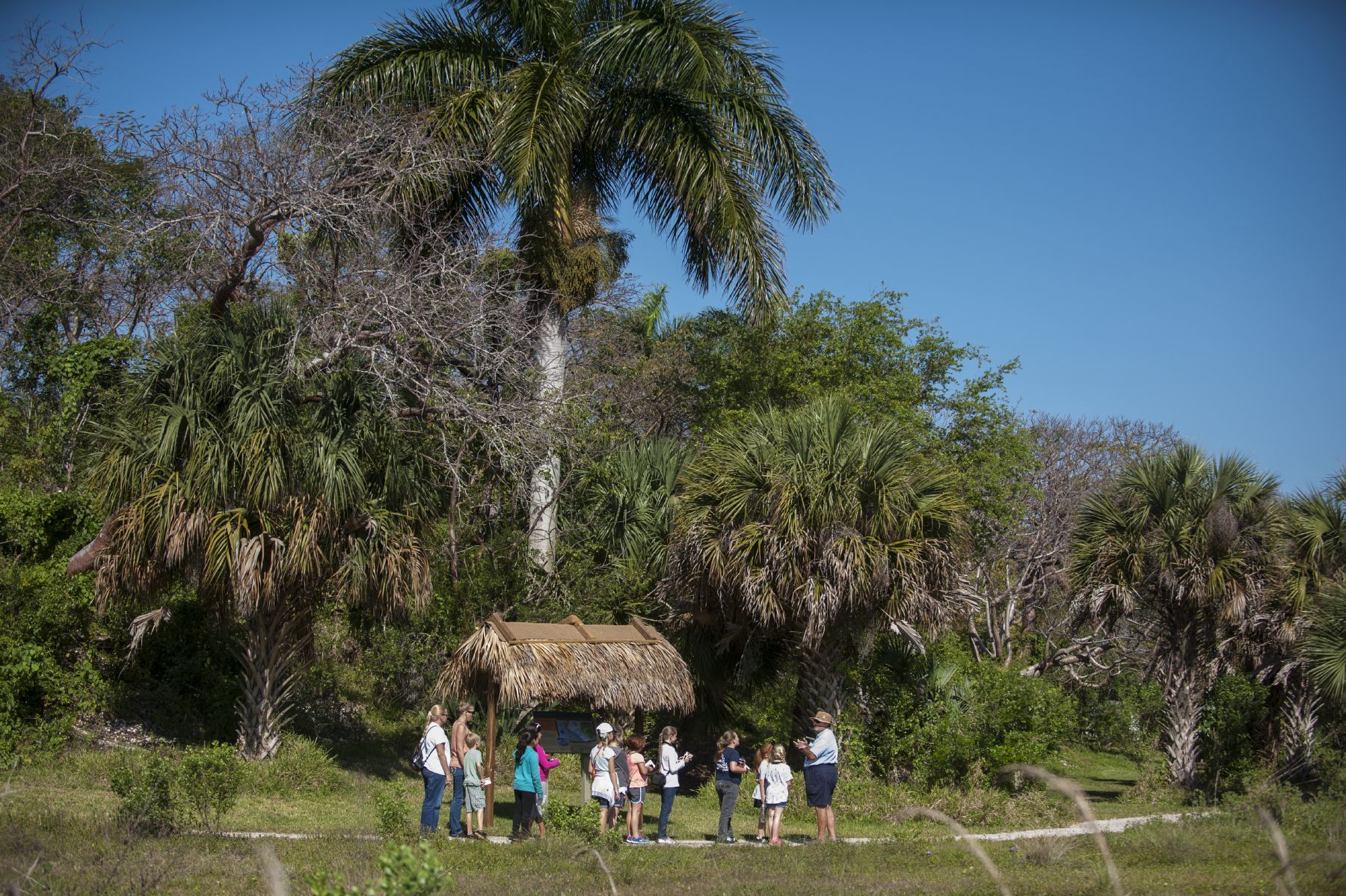 walking trail with visitors