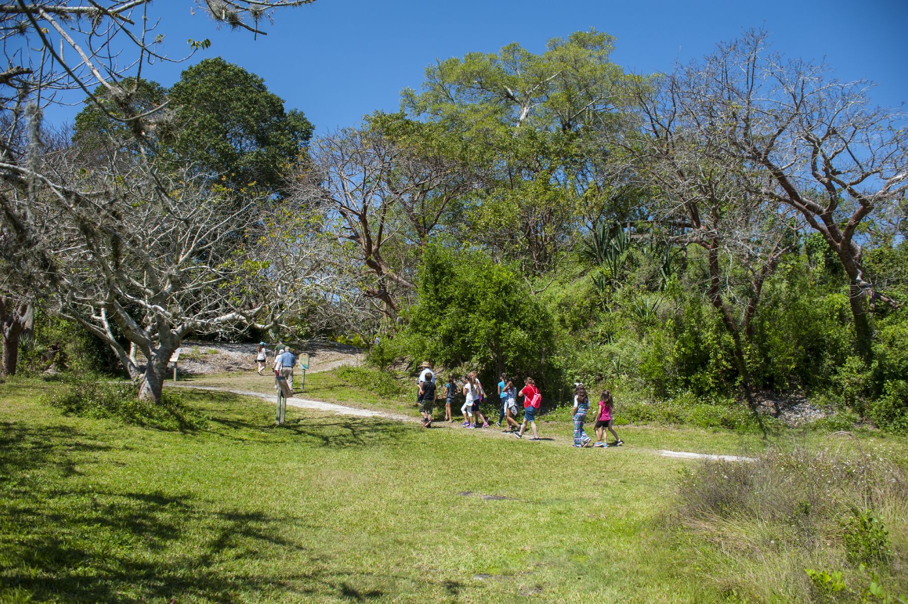children walking on trail