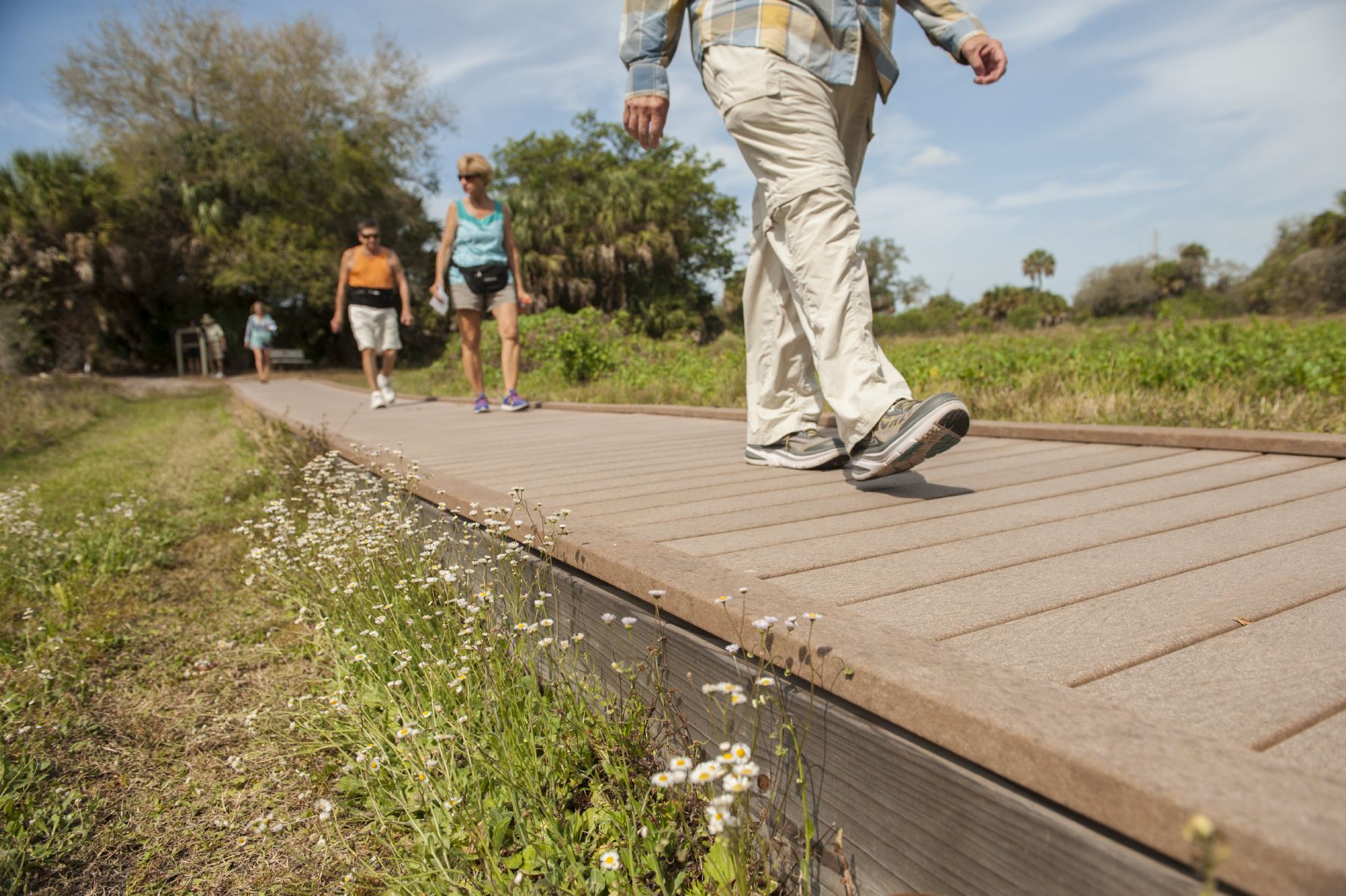 visitors walking on raised trails
