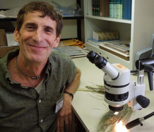 Marc at microscope with grasses