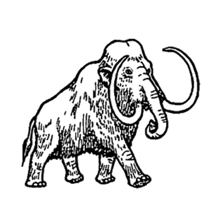 Mastodon line drawing