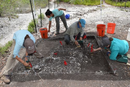 Crew outlines edges of outer wall of Fort San Antón de Carlos.