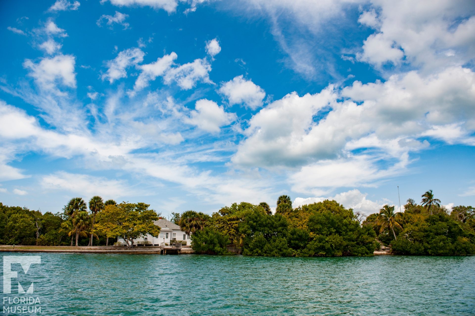 waterside view of forest and white building on the shore