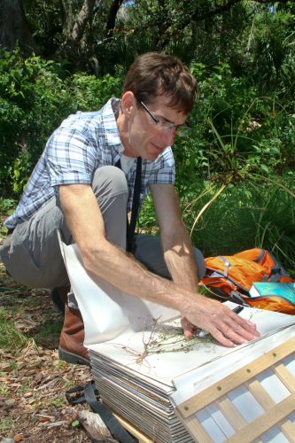 Marc Frank used a plant press to collect and transport plant specimens