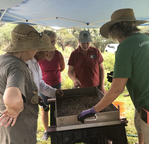 Karen Walker and volunteers look down into a water screen looking for tiny shells and bones.