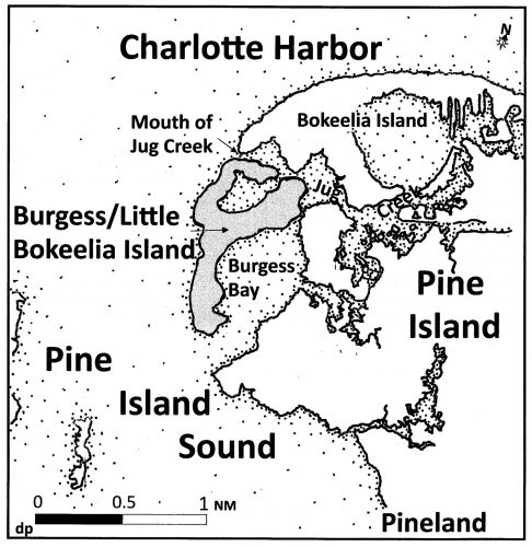 map of Pine Island and surrounding area