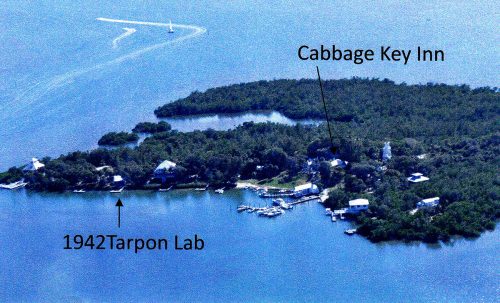 aerial photo of Cabbage Key island