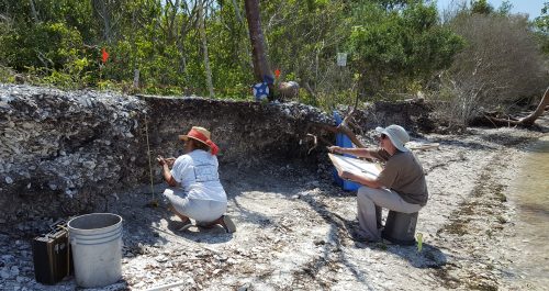 person measures midden while another draws on a large sketch pad