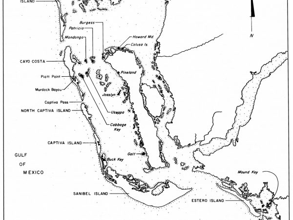 drawn map if Charlotte harbor and pine island sound