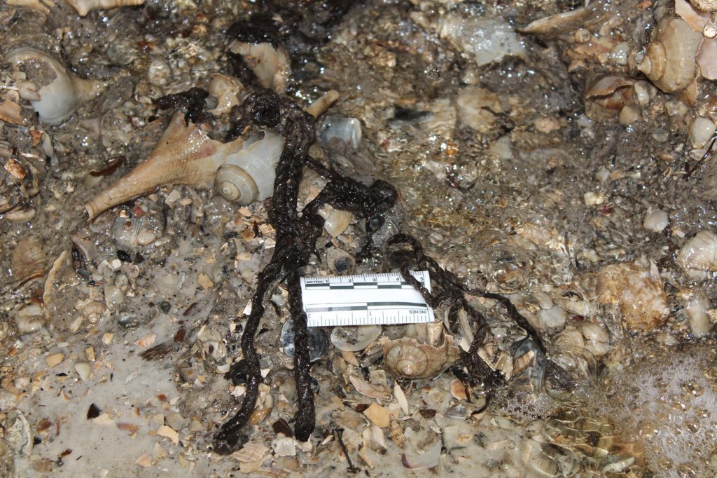 knotted rope in sand and shells