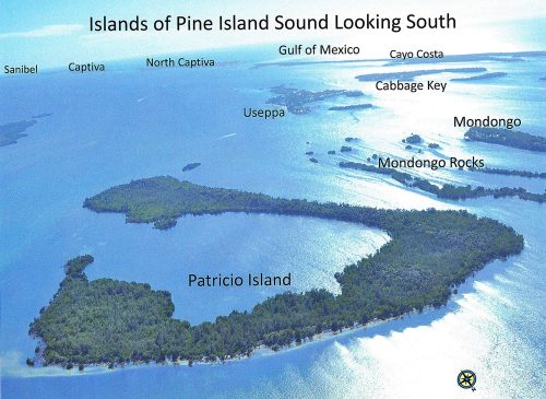 aerial view of Patricio Island