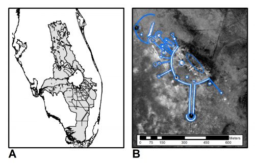 A) map and B) satellite view