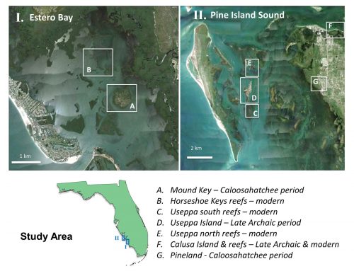 satellite maps showing study area