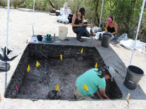 Three people excavating, oyster shells can be seen in the dirt.