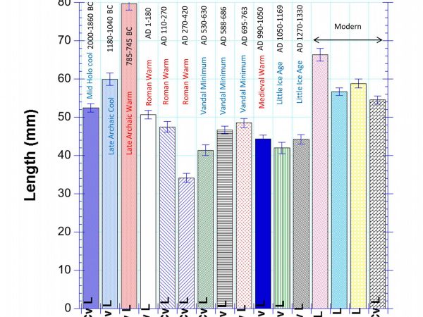 graph showing Comparison of convex valve lengths