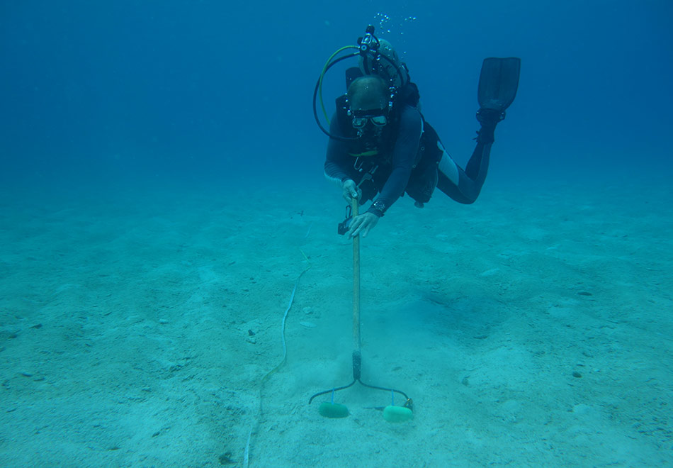 diver underwater raking sea bed