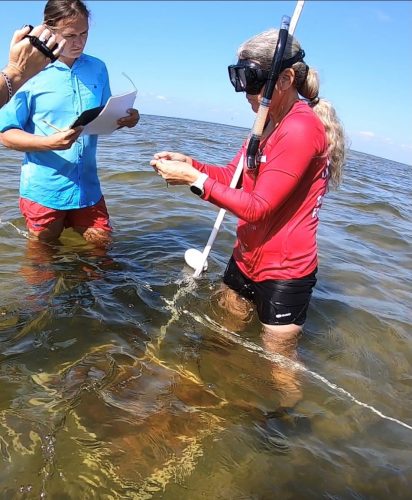 several researchers waist deep in the ocean