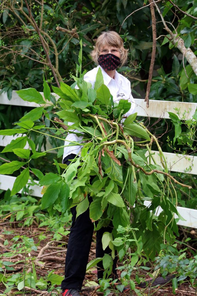 person in a mask holding a large bundle of pants