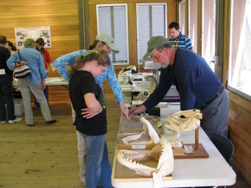 people stand around a table with various bones displayed