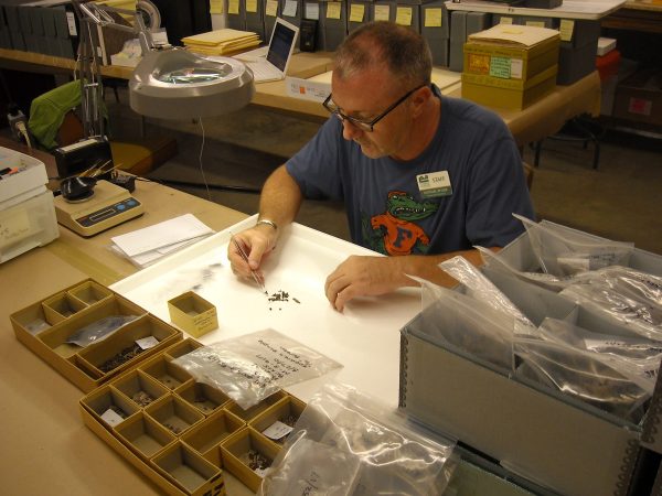 researcher using tweezers to examine small artifacts