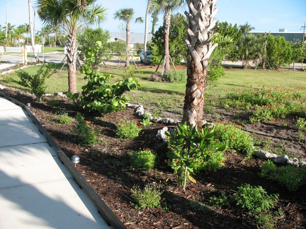 finished butterfly garden with flowering plants