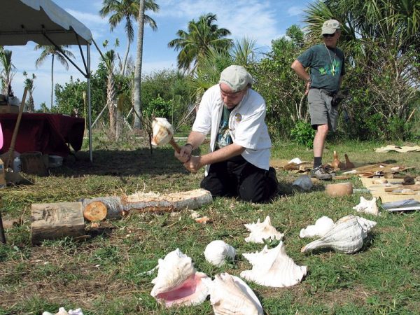 person kneeling on the ground using a shell cutting tool on a log