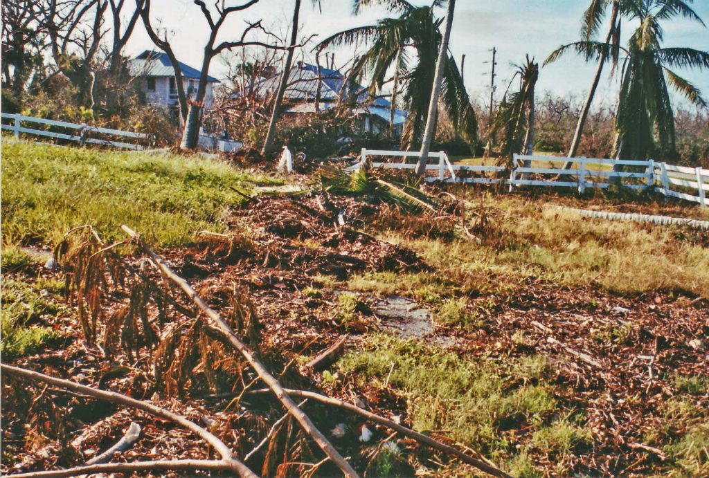 a line of plant debris is spread across a field and through a broken fence. Surrounding trees have broken branches and missing leaves.