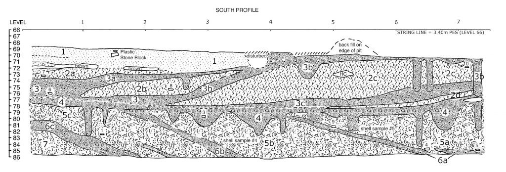 line drawing showing the strata