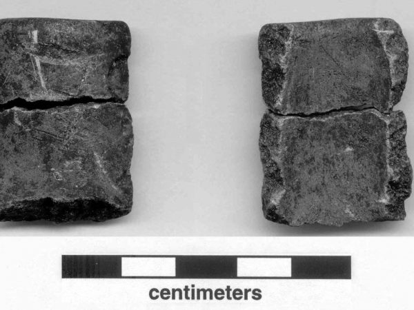 Steatite pipe fragment specimens