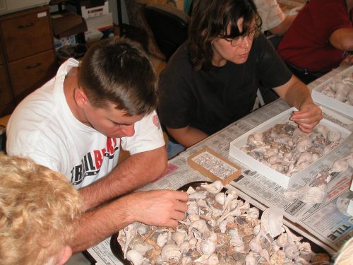 person sorting through bones