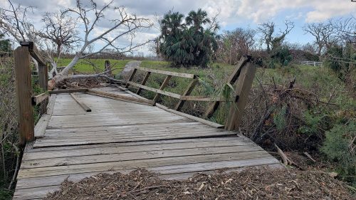 wooden bridge over Cross-Island Canal with damage to rails and a tree fallen over one end