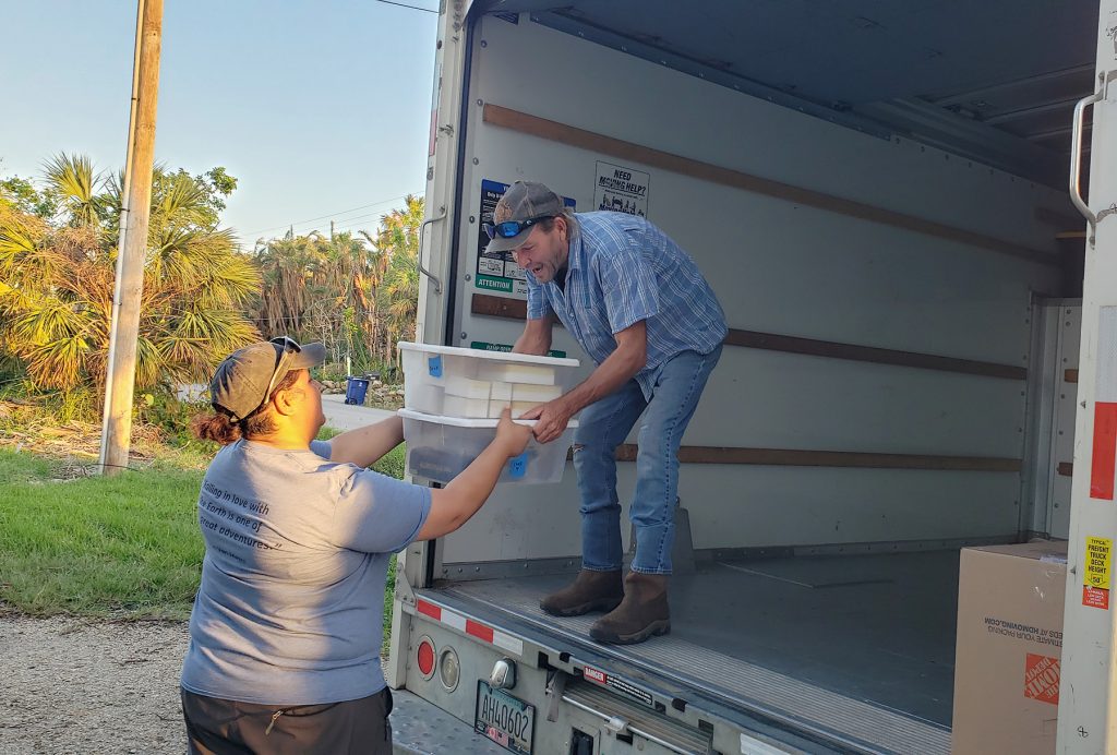 people moving boxed into a truck