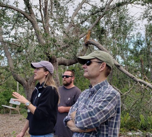 three people standing outside in a wooded area and looking to the left. Behind them is a large tree with a large recently broken branch