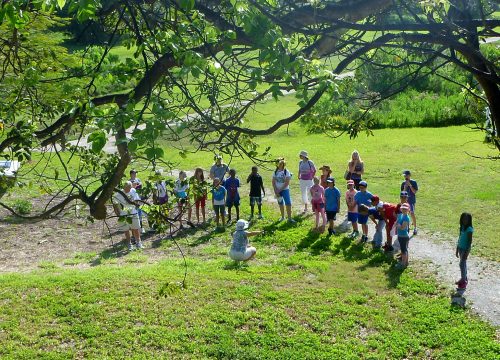 a person kneels at the bottom of a hill and gestures while they speak to a group of people gathered in a semicircle at the base of the hill