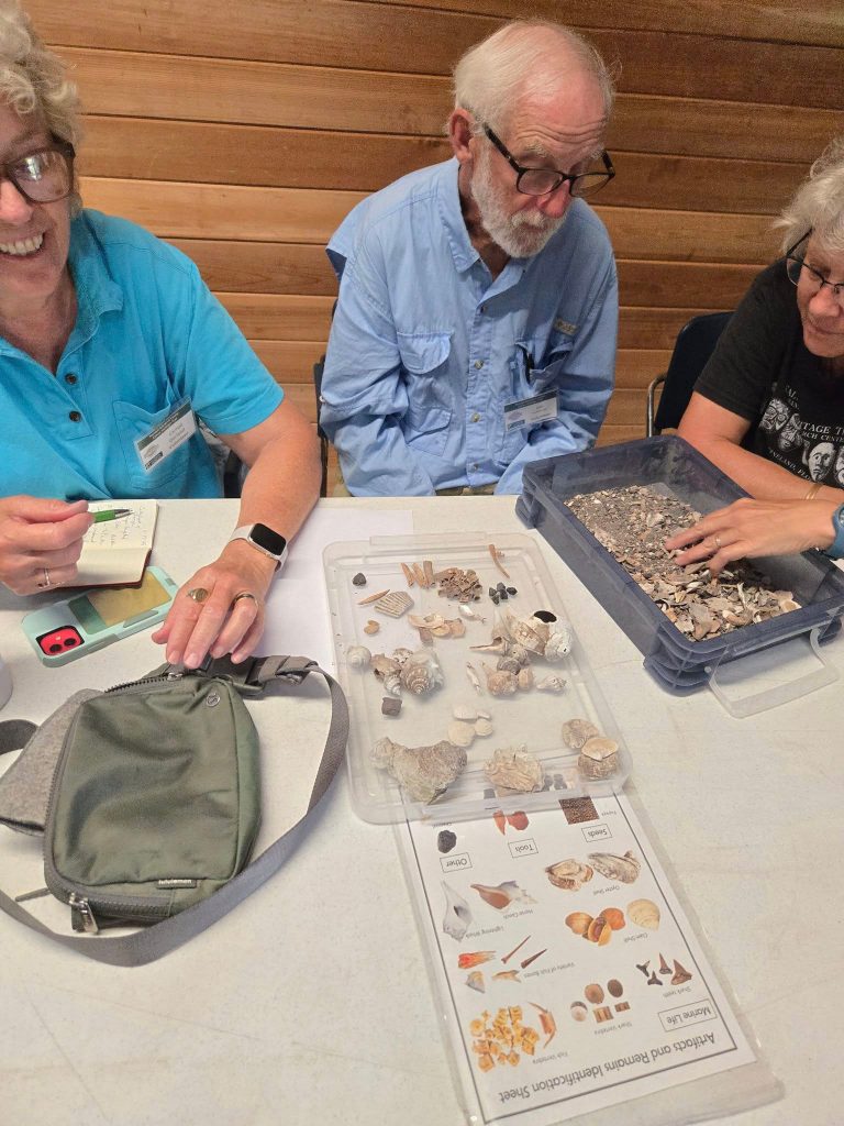 volunteers sort through a bin of shells and use an identification guide to sort them into groups