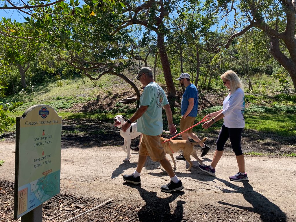 people with dogs on leashes walking along a wide dirt pathway