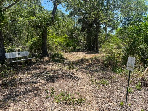 cleared trail