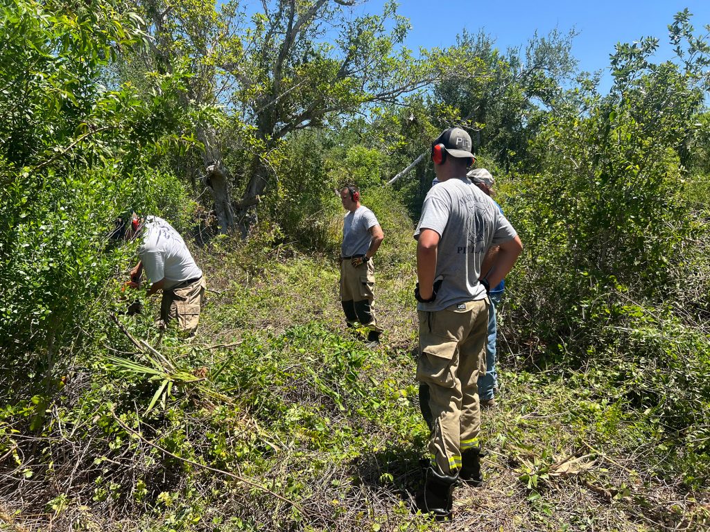 people with chainsaws clearing brush
