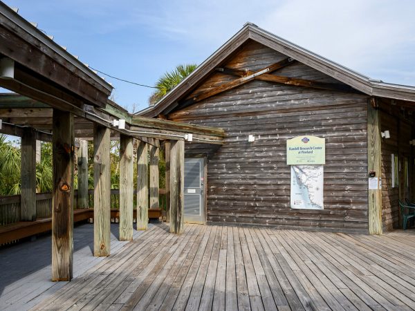 Wood deck and building RRC gift shop and classrooms
